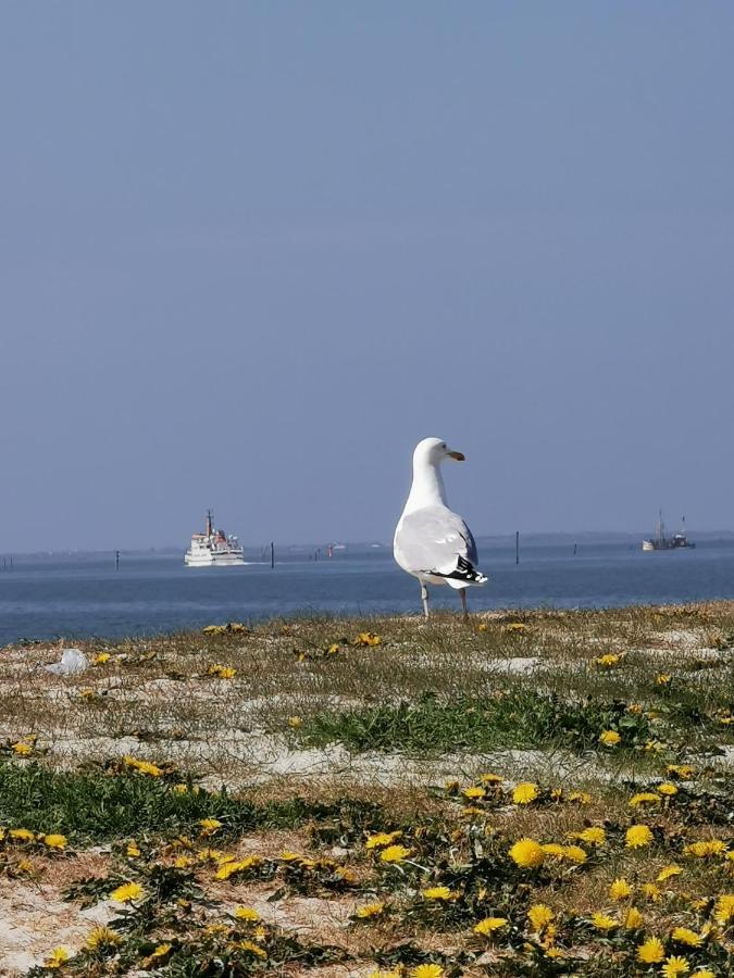 Kleinaberfein An Der Nordseekueste Schweindorf Exteriör bild