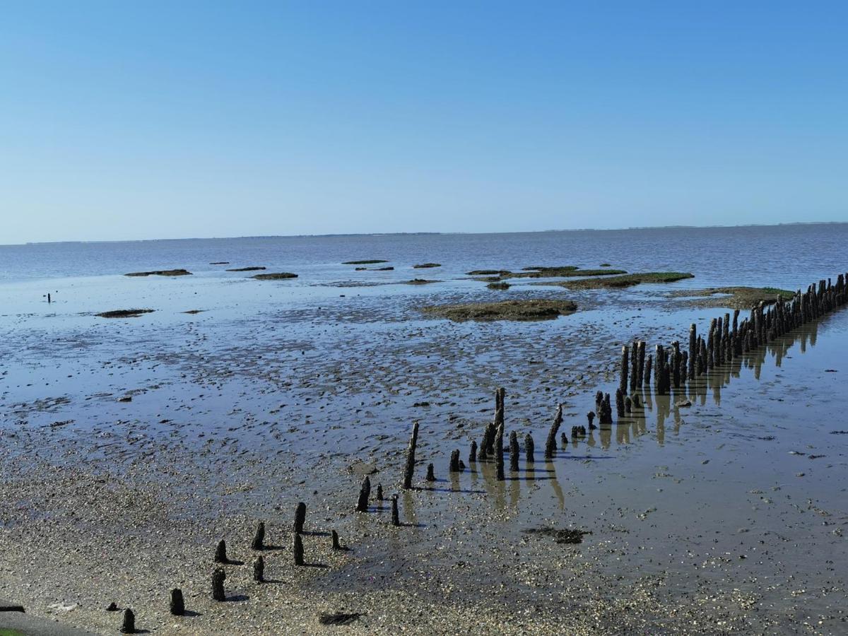 Kleinaberfein An Der Nordseekueste Schweindorf Exteriör bild