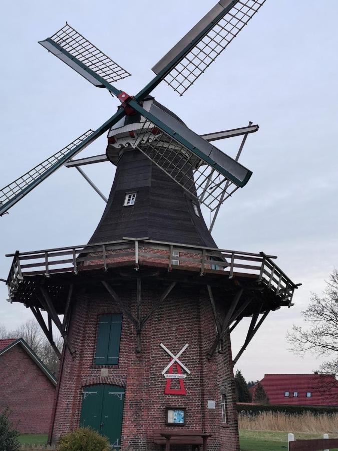 Kleinaberfein An Der Nordseekueste Schweindorf Exteriör bild